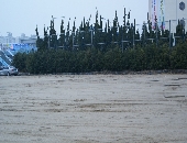 근처 운동장